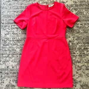 Eliza J Sheath Dress Women Size 14 Pink Stretch Knee Length Short Sleeve